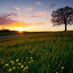 Day’s Dawning – Whispers from God | focuswithmarlene.com