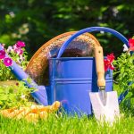 garden watering can and trowel